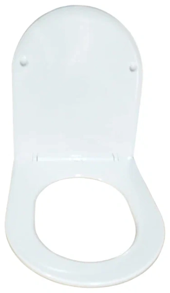 Крышка-сиденье для унитаза Cerutti Spa Bernina Aria, Adige, Avisio, Adige Aria CT7587 Белая с микролифтом